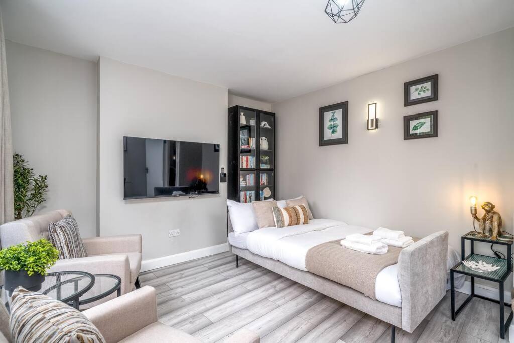 Large Stylish Apartament Londra